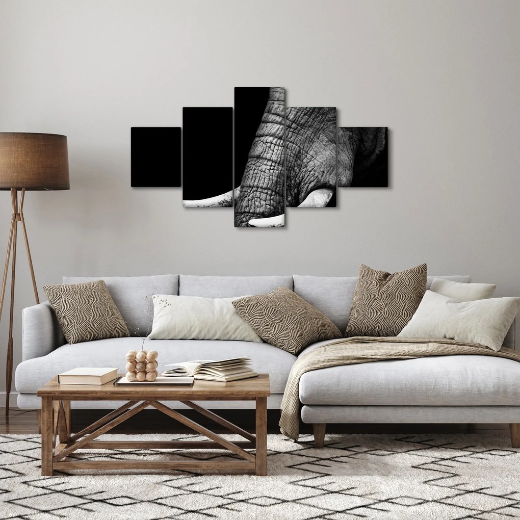 Obraz - Kły słonia (125x70 cm)