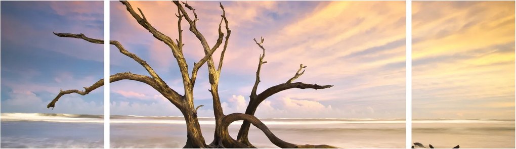 Obraz drzewa w oceanie (170x50 cm)