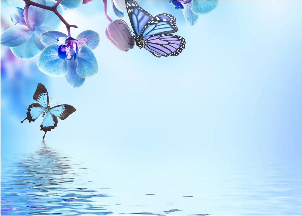 Obraz na szkle - Motyl na kwiatach orchidei, niebieski (70x50 cm)