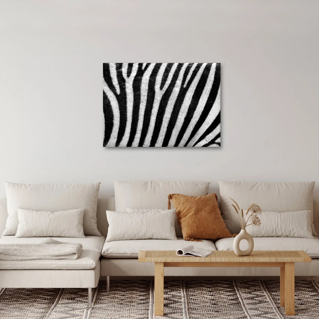 Obraz skóry zebry (70x50 cm)