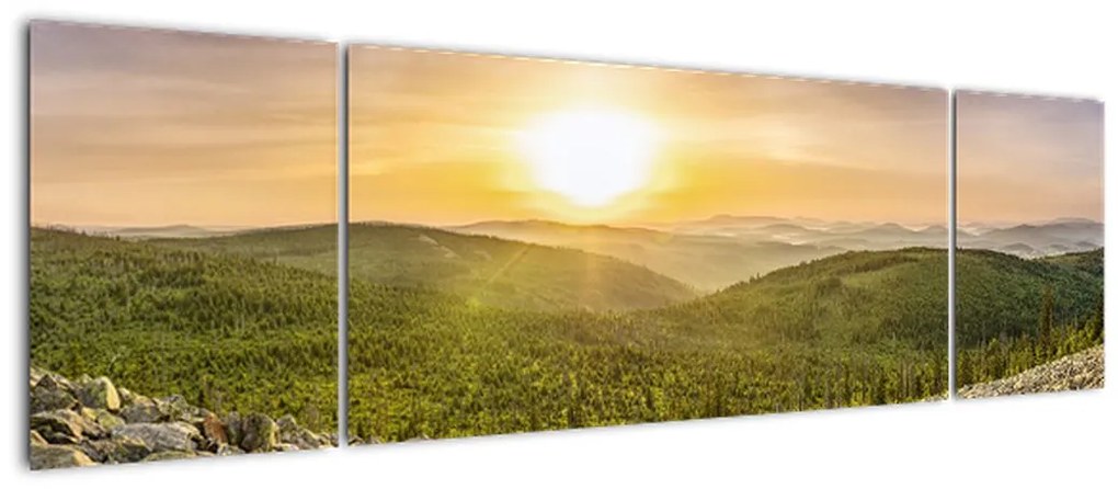 Obraz panoramiczny (170x50 cm)