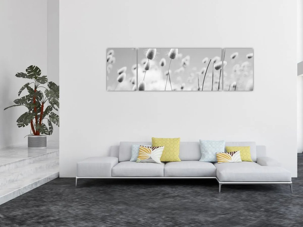 Obraz - Trawa z ogonkiem króliczka Boho (170x50 cm)