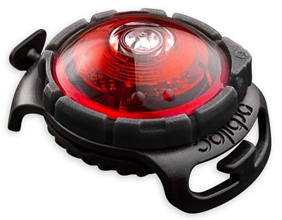 Lampka LED na obrożę Red – Orbiloc