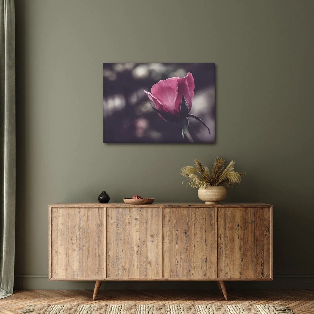 Obraz - Detal kwiatu róży (70x50 cm)