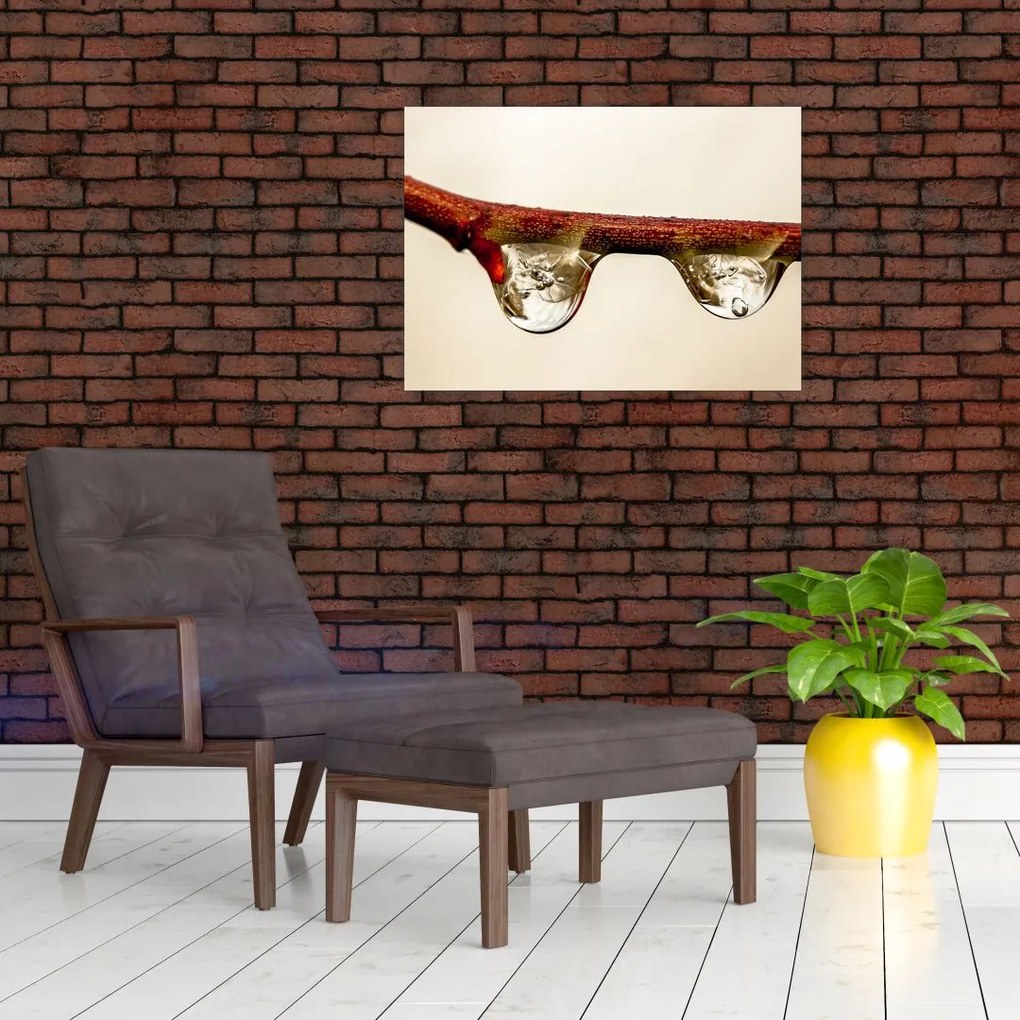 Obraz kropli na gałęzi (70x50 cm)