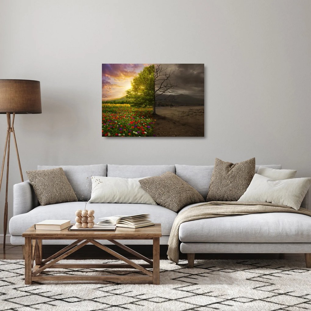 Obraz na szkle - Cykl życia (70x50 cm)