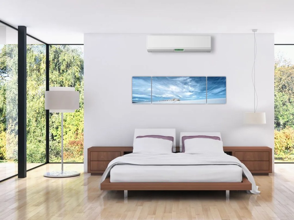 Obraz pola (170x50 cm)