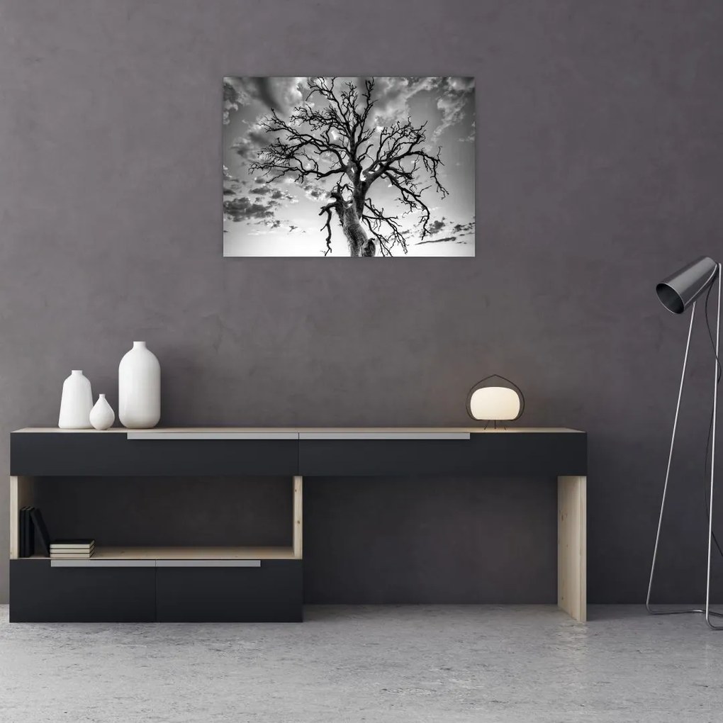 Obraz - Czarno - białe drzewo (70x50 cm)