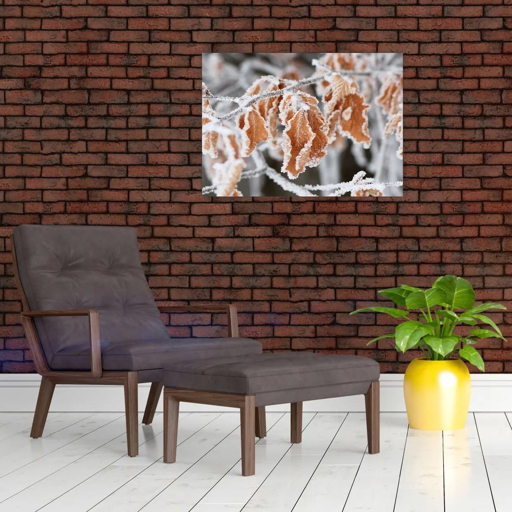 Obraz - Zamarznięte liście (70x50 cm)