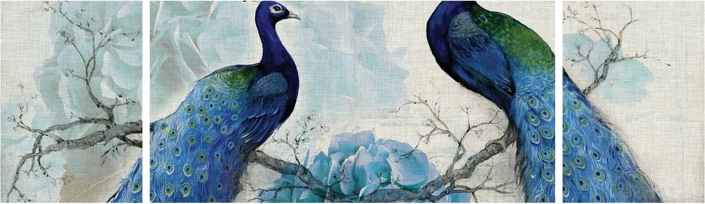 Obraz - Pawie tekstury (170x50 cm)