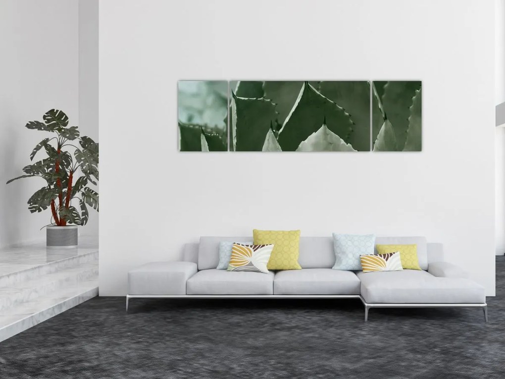 Obraz - Zielona agawa (170x50 cm)