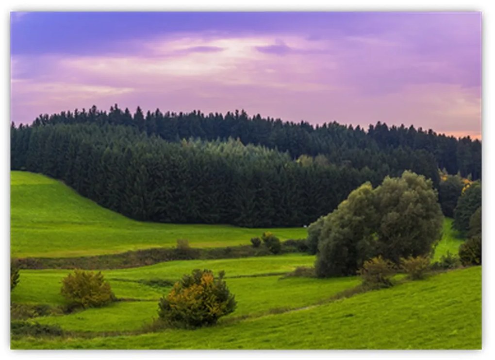 Obraz na szkle - łąka (70x50 cm)