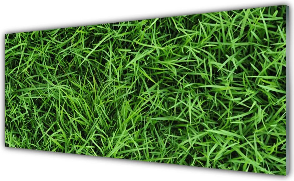 Panel Szklany do Kuchni Soczysta Zielona Trawa