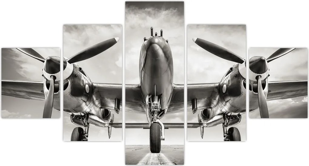 Obraz - Warbird (125x70 cm)