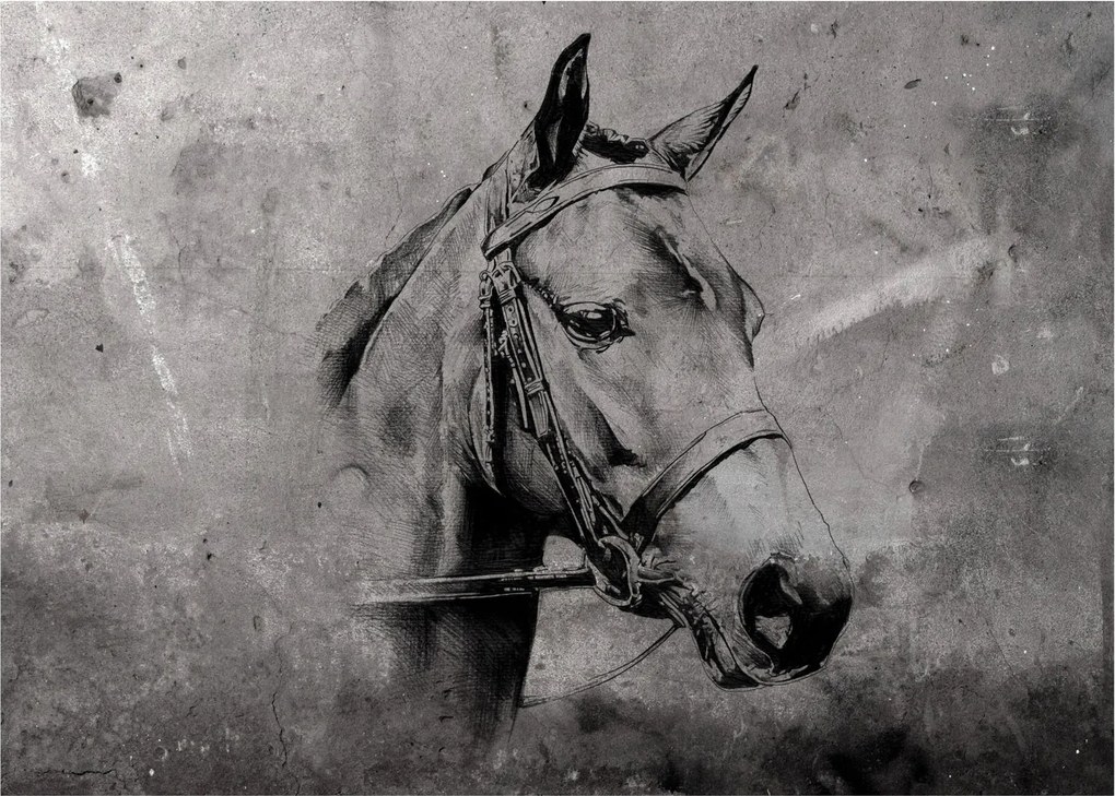 Obraz na szkle - Portret konia (70x50 cm)