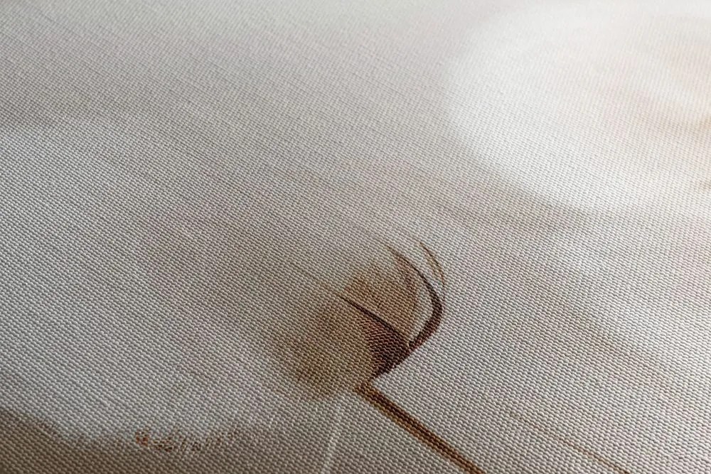 Obraz łodygi bawełny