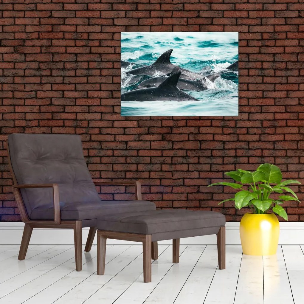 Obraz - Delfiny w oceanie (70x50 cm)