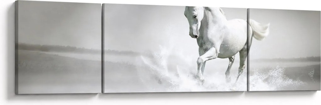 Obraz - Biały koń (170x50 cm)