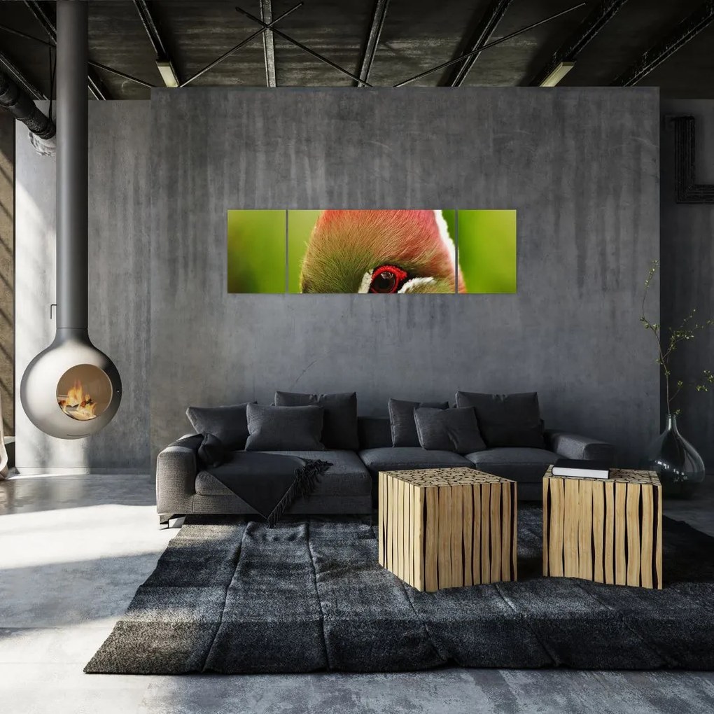 Obraz kolorowego ptaka (170x50 cm)