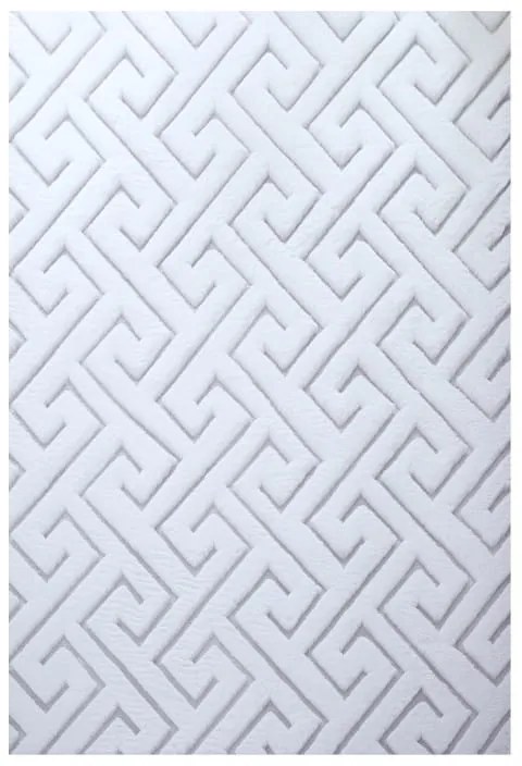 Dywan pluszowy 3D Vision biało-srebrny 160 cm x 230 cm