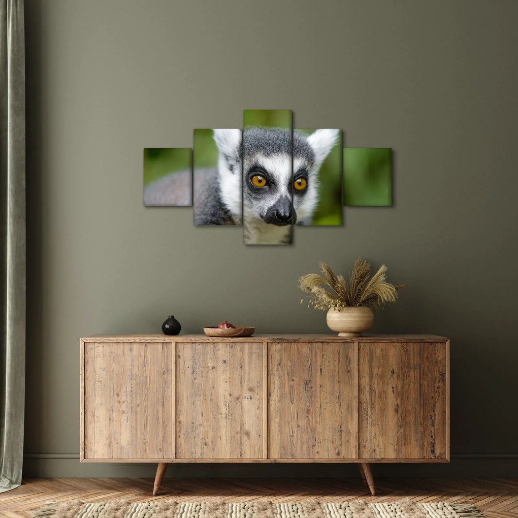 Obraz lemura (125x70 cm)