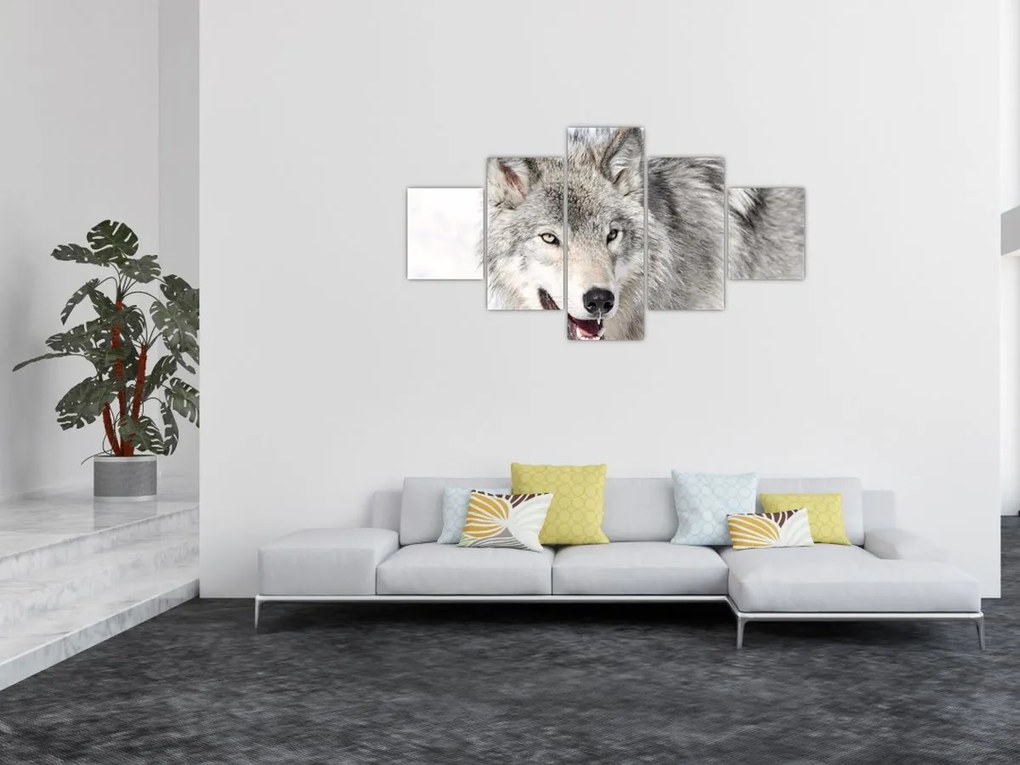 Obraz - Wilk w naturze (125x70 cm)