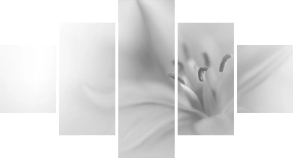 Obraz - Delikatna lilia (125x70 cm)