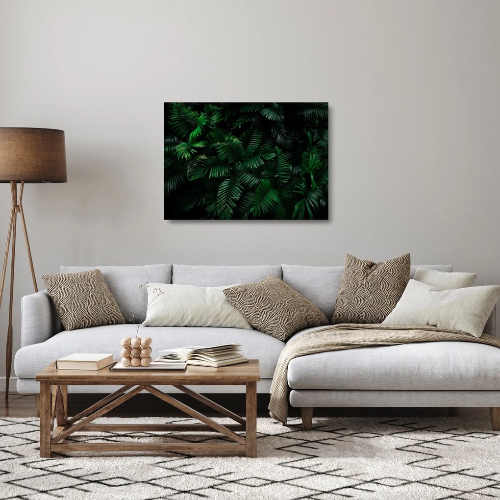 Obraz na szkle - Paprocie tropikalne (70x50 cm)