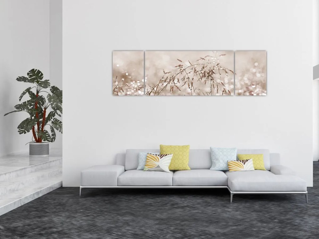 Obraz - Łąka w odcieniach brązu (170x50 cm)