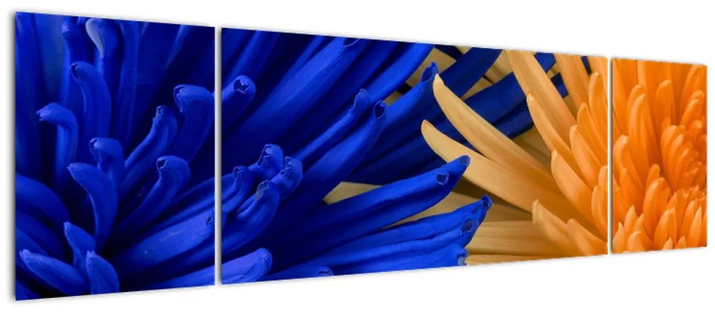 Szczegółowy obraz kwiatów (170x50 cm)