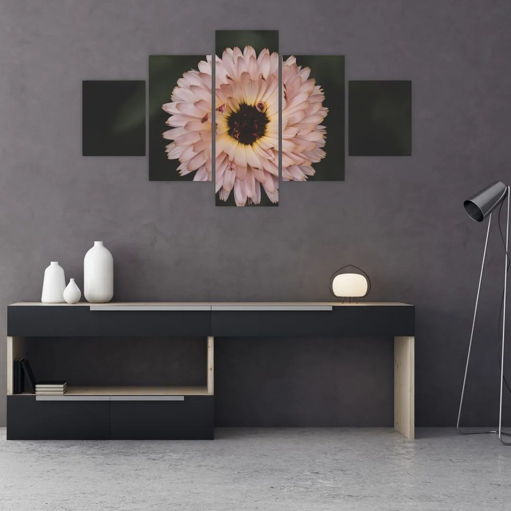 Obraz pomarańczowego kwiatu (125x70 cm)
