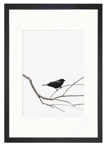 Obraz 24x29 cm Bird on the Branch – Vavien Artwork
