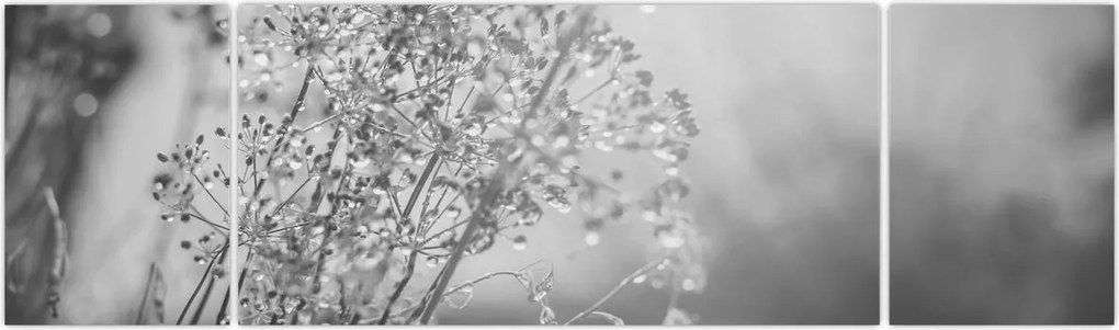Obraz - Łąka po deszczu (170x50 cm)