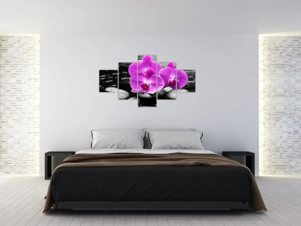 Obraz - Fioletowe orchidee (125x70 cm)