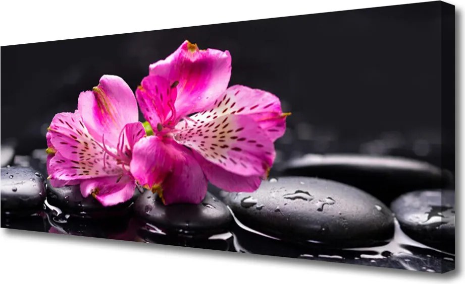 Obraz canvas Śnieżnobiały Storczyk w Detalu