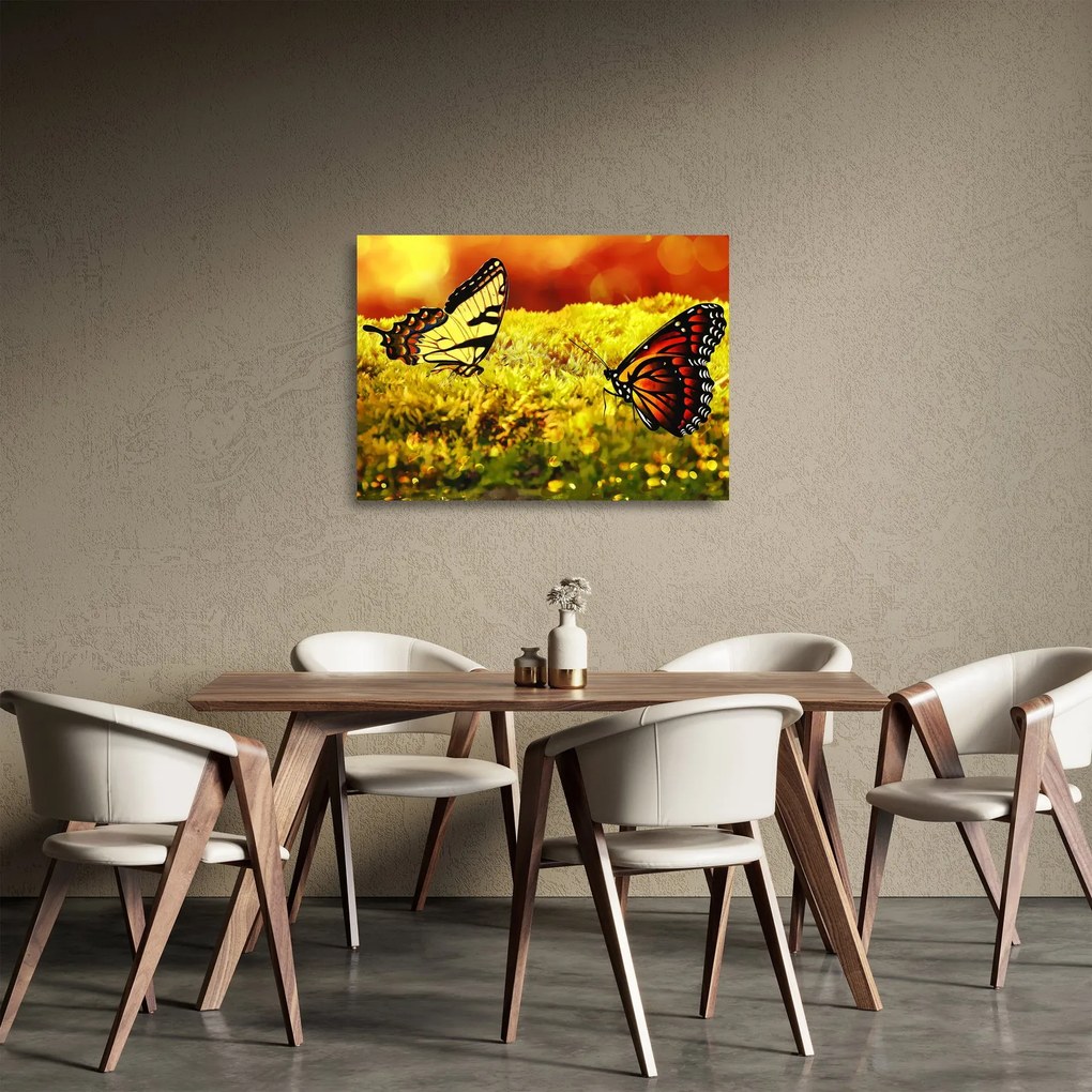 Obraz na szkle - motyle (70x50 cm)