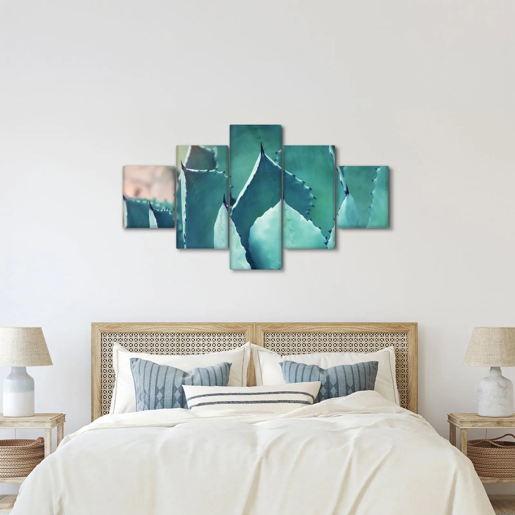 Obraz - Sukulent (125x70 cm)