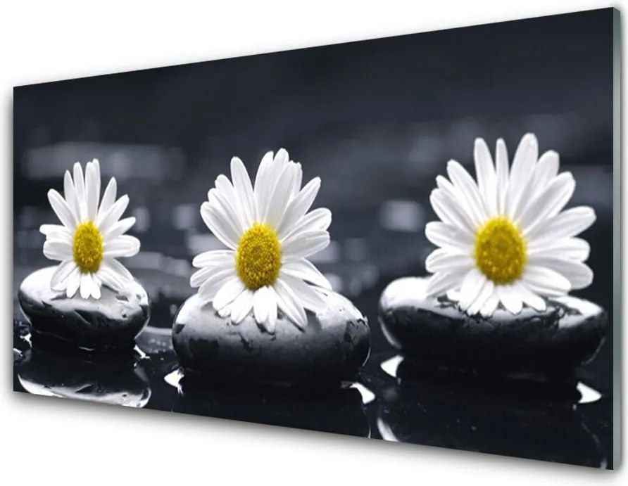 Panel nad blat kuchenny Stokrotka Wśród Kamieni