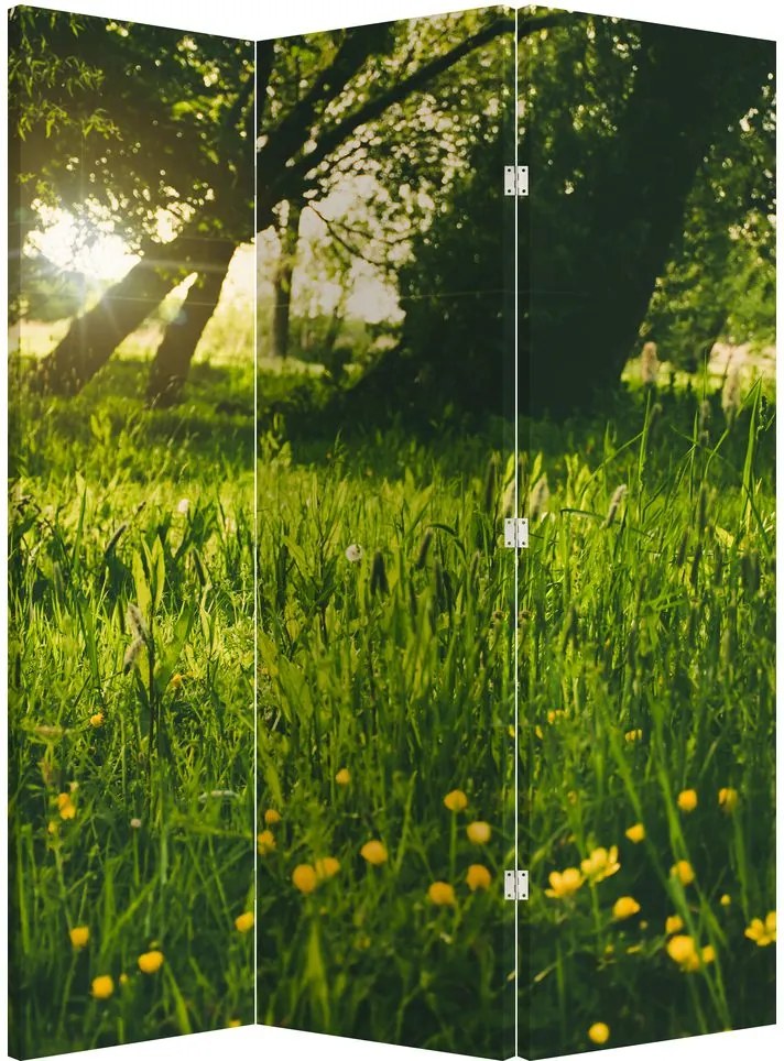 Parawan - Łąka (126x170 cm)