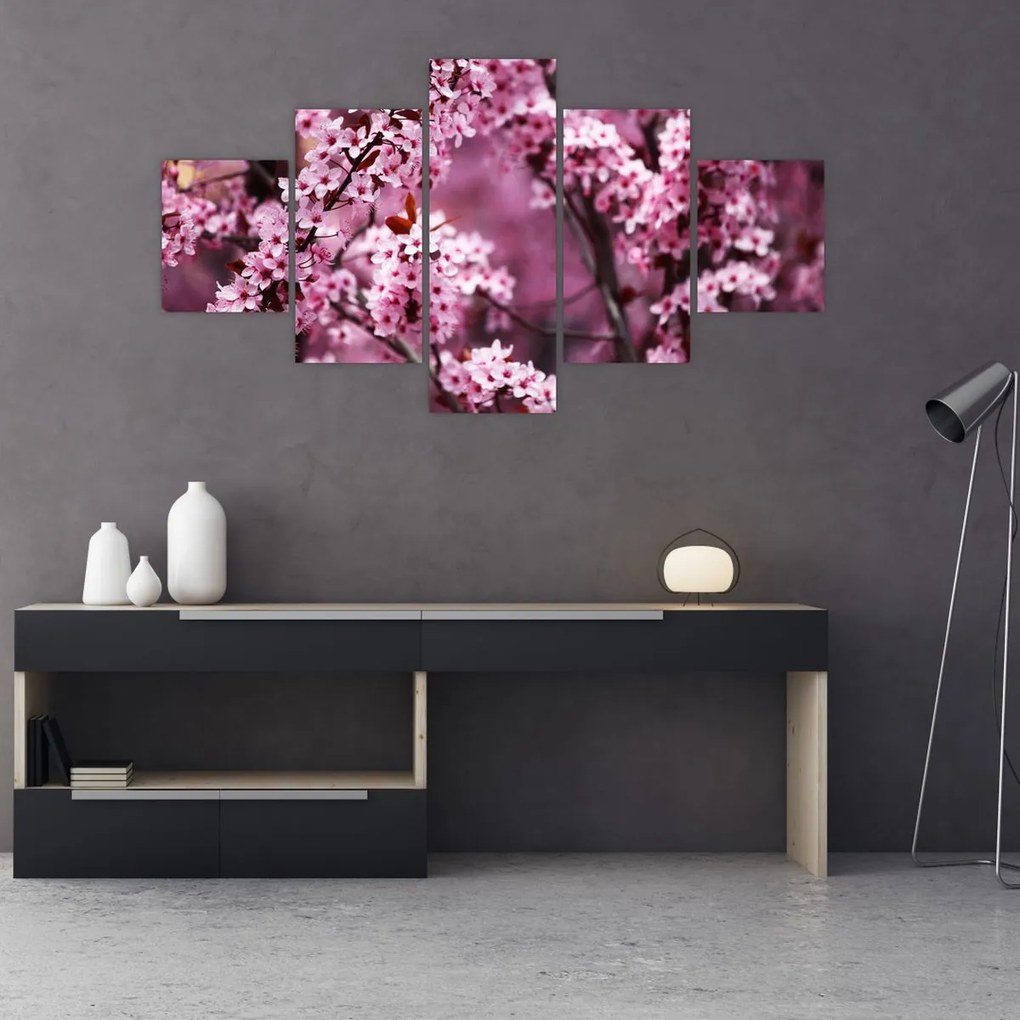 Obraz - Różowa sakura (125x70 cm)