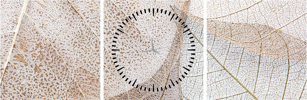 Obraz - Beżowe liście (z zegarem) (90x30 cm)