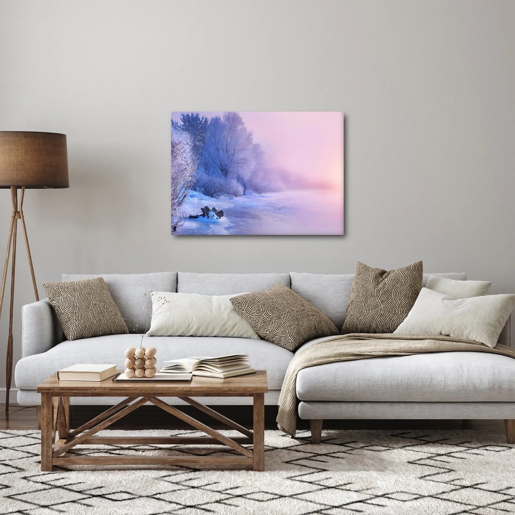 Obraz - Zamarznięta rzeka (70x50 cm)