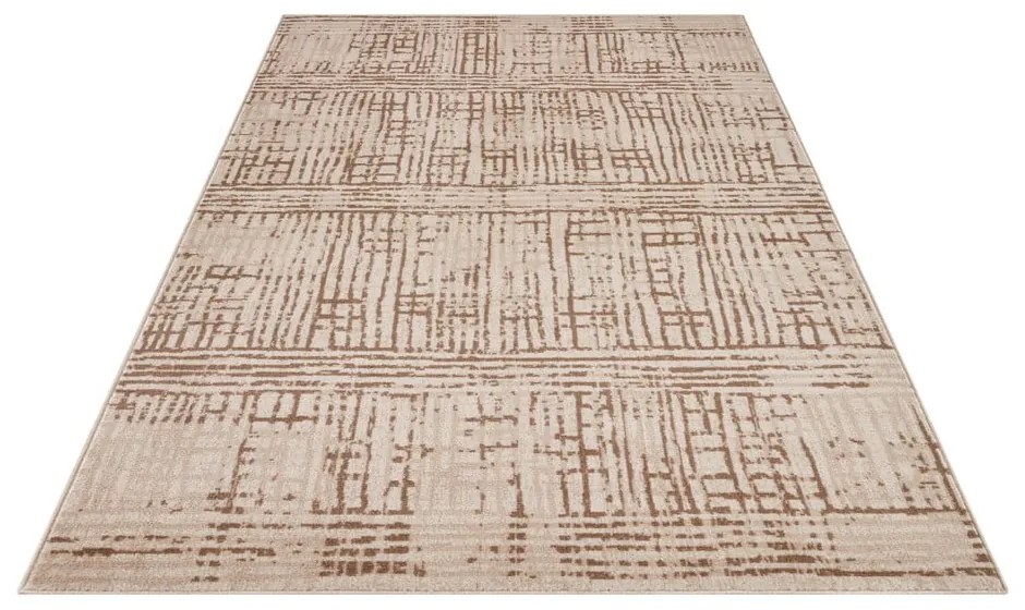Brązowy/beżowy dywan 240x340 cm Terrain – Hanse Home