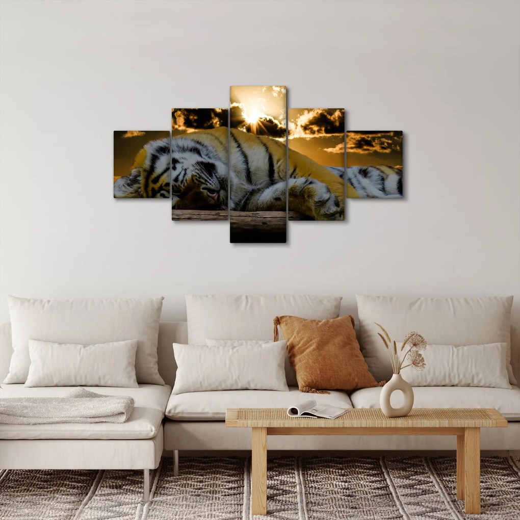 Obraz śpiącego tygrysa (125x70 cm)