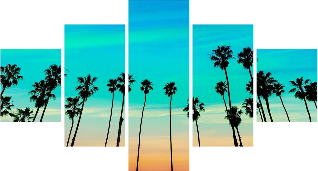 Obraz - Kalifornia (125x70 cm)