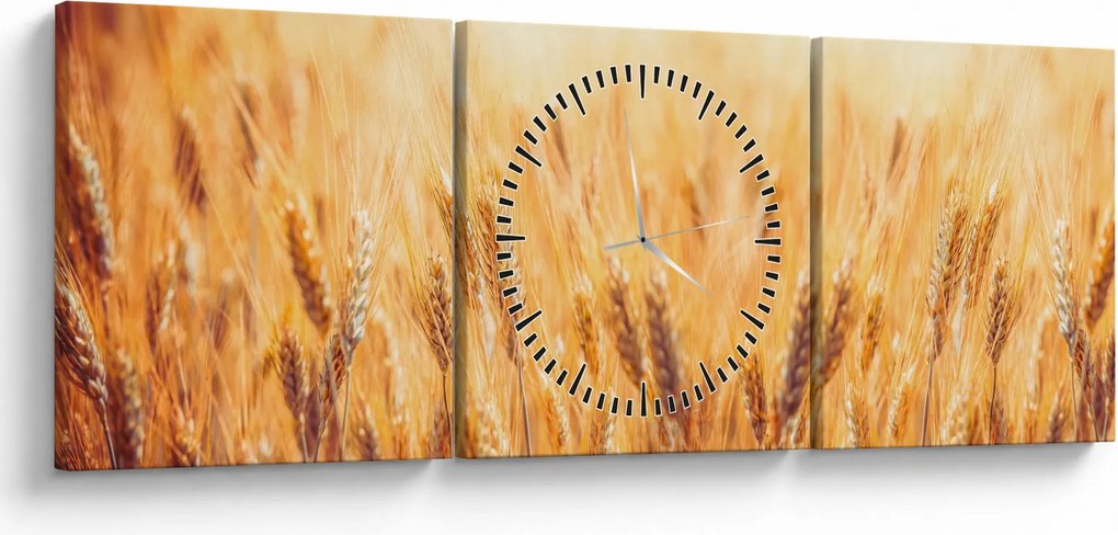 Obraz - pole z ziarnami (z zegarem) (90x30 cm)