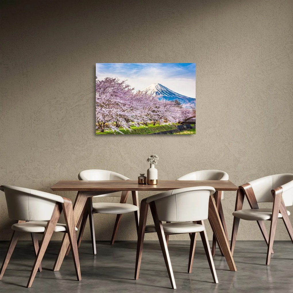 Obraz na szkle - Japonia wiosną (70x50 cm)