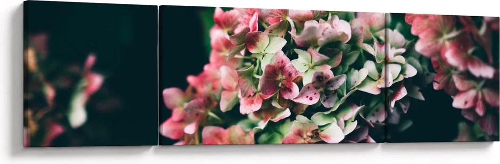 Obraz - Fragment Hortensji (170x50 cm)