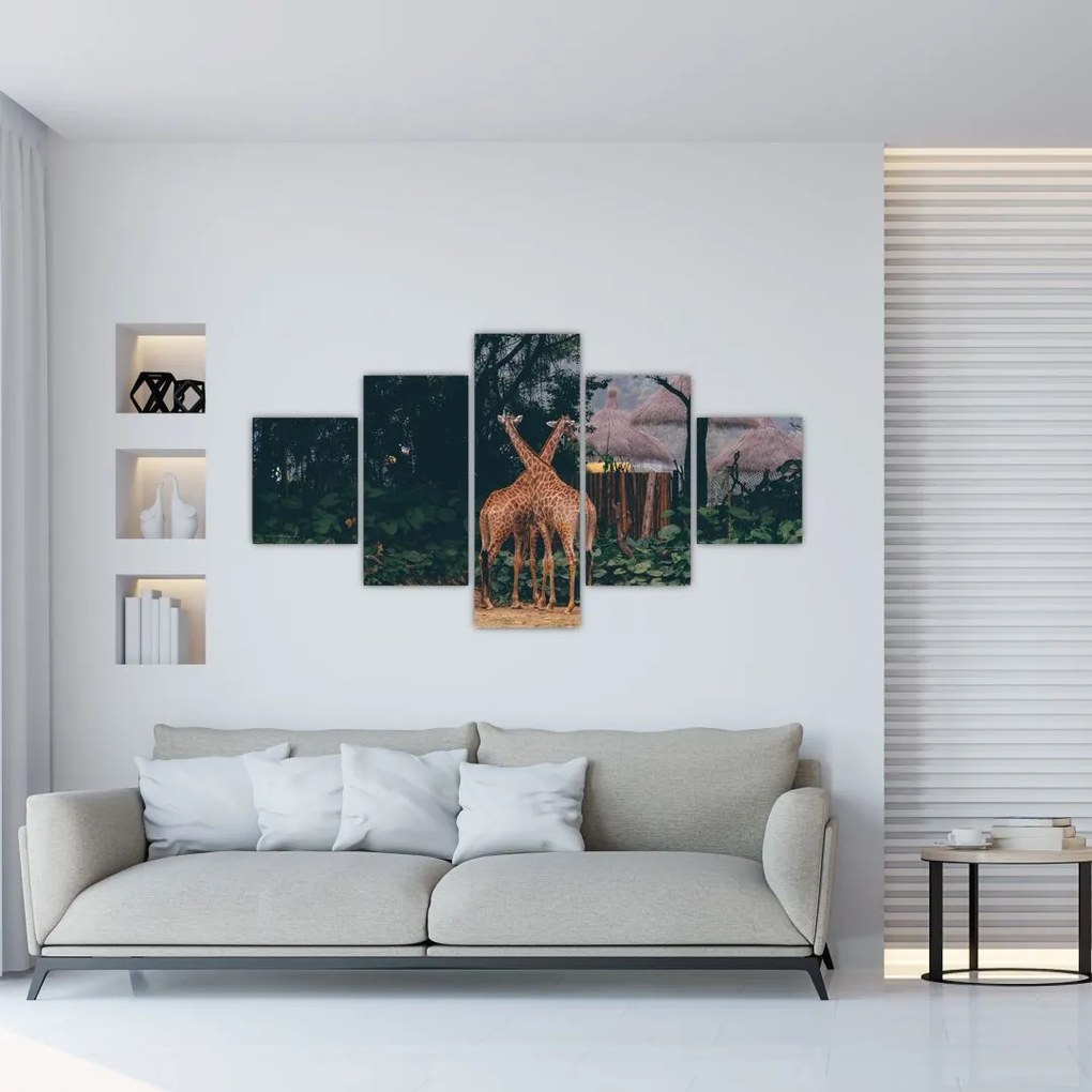 Obraz dwóch żyraf (125x70 cm)