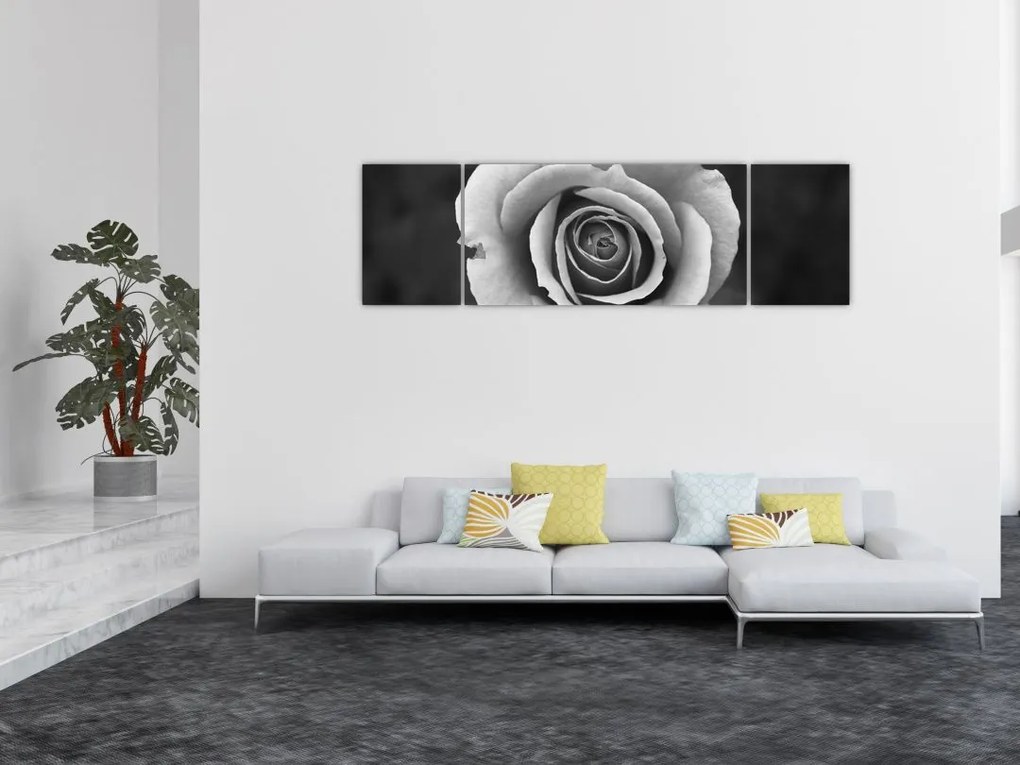 Obraz róży (170x50 cm)